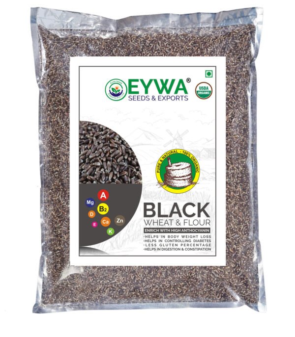 Black Wheat Grains