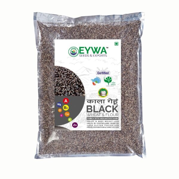 Black Wheat Grains - Image 2