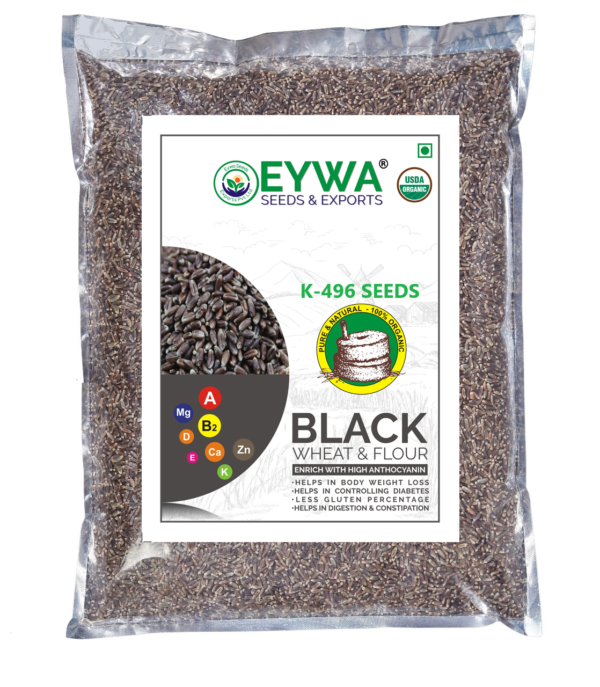 Black Wheat Seeds