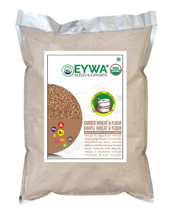 Khapli Wheat Flour