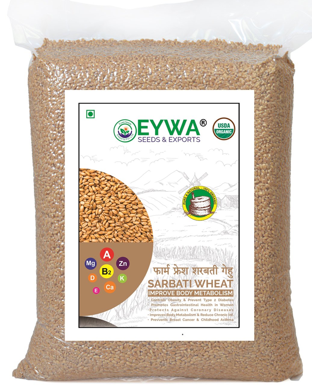 Sharbati Wheat Grains