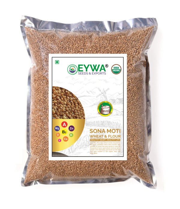 Sonamoti Wheat Grains