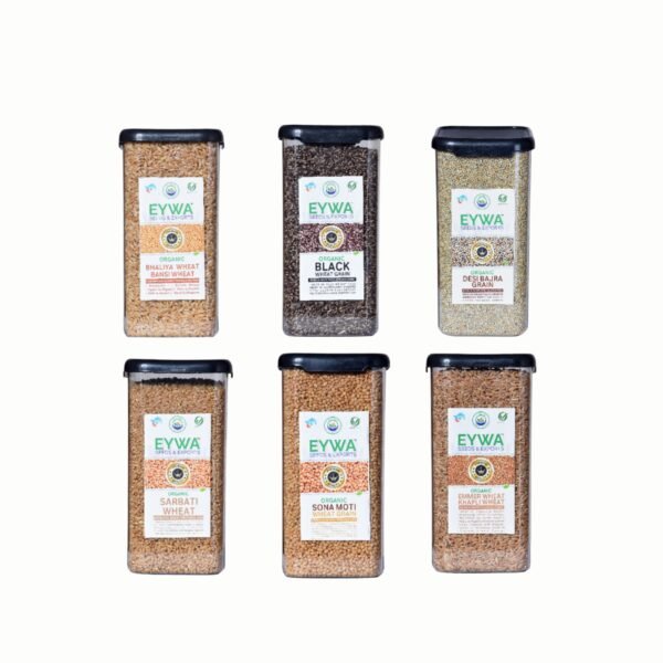 Premium Combo Pack off 6 Grains Sonamati, Sharbati, Khapli, Black Wheat, Bajra, Bansi Whole Wheat Grains (Organic) With Airtight Food Storage LID Kitchen Plastic Countainer in Unbreakable & Attractive Square Shape (1 KG Per Pack) 6 Countainers (6 KG) By Eywa