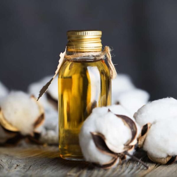 Cotton Seed Oil - Image 6