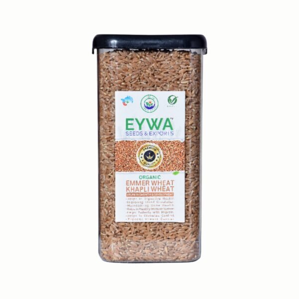 Premium Khapli Whole Wheat Grains (Organic) With Airtight Food Storage LID Kitchen Plastic Countainer in Unbreakable & Attractive Square Shape (1 KG) By Eywa