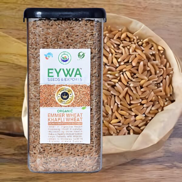 Premium Khapli Whole Wheat Grains (Organic) With Airtight Food Storage LID Kitchen Plastic Countainer in Unbreakable & Attractive Square Shape (1 KG) By Eywa - Image 2