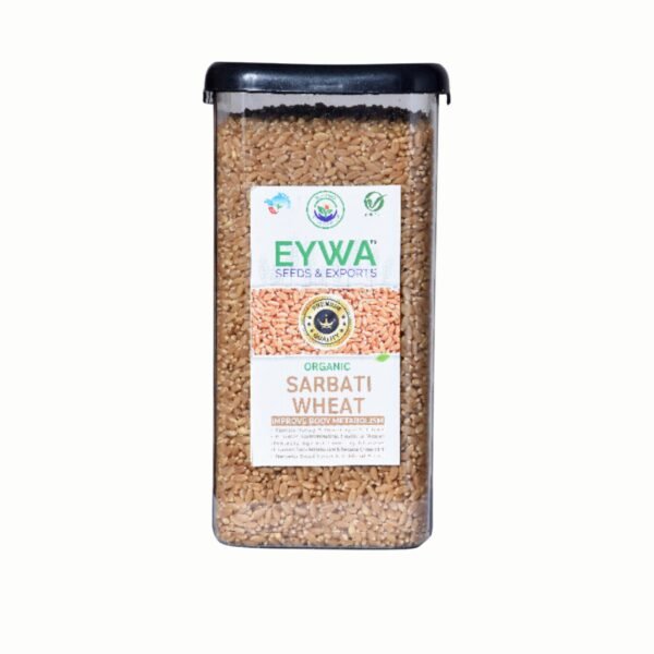 Premium Sharbati Whole Wheat Grains (Organic) With Airtight Food Storage LID Kitchen Plastic Countainer in Unbreakable & Attractive Square Shape (1 KG) By Eywa