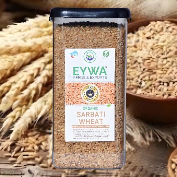 Premium Sharbati Whole Wheat Grains (Organic) With Airtight Food Storage LID Kitchen Plastic Countainer in Unbreakable & Attractive Square Shape (1 KG) By Eywa - Image 2