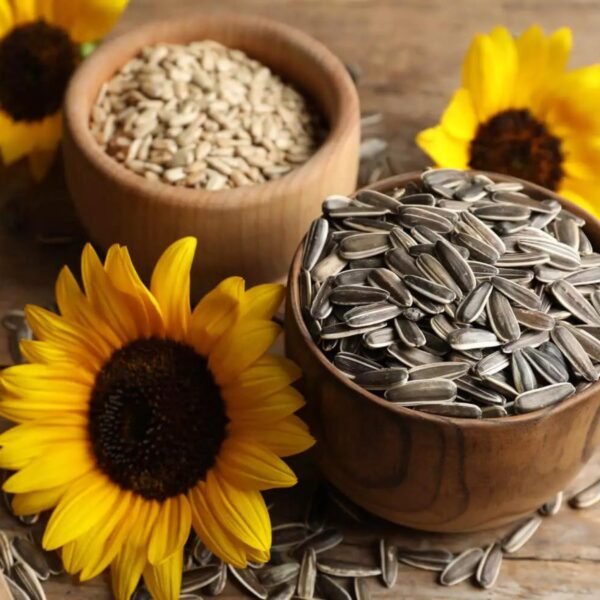 Sunflower Seeds - Image 4