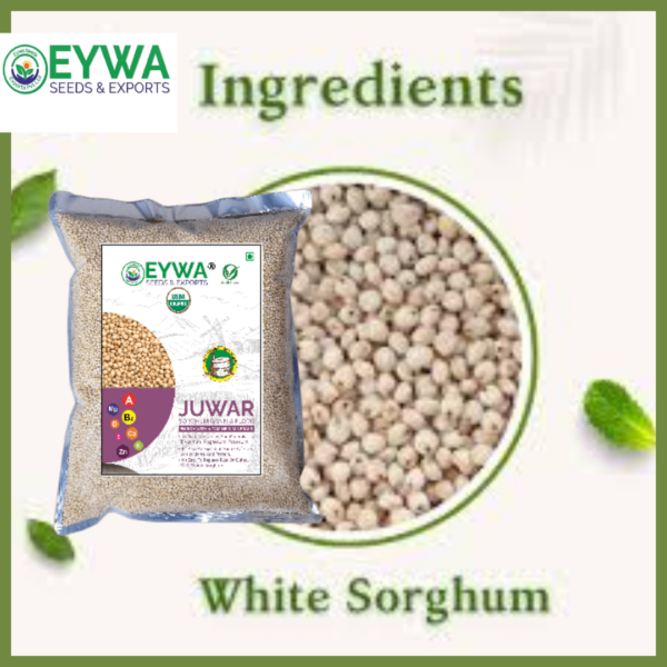 Organic White Sorghum Grains - Image 3