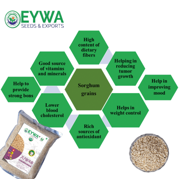 Organic White Sorghum Grains - Image 4