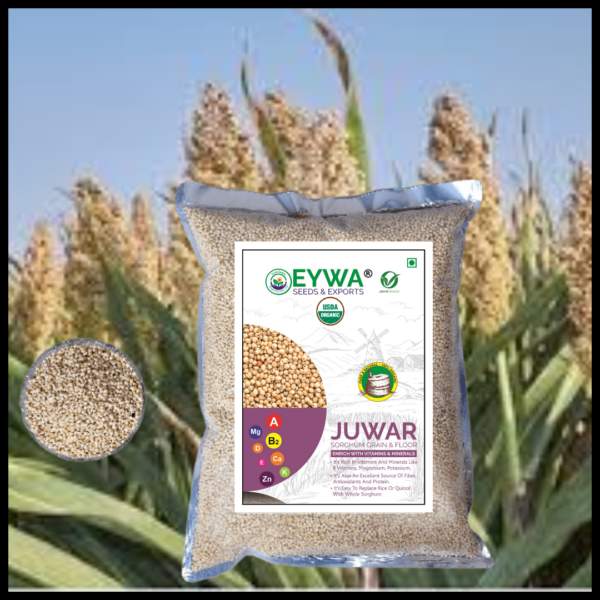 Organic White Sorghum Grains - Image 2