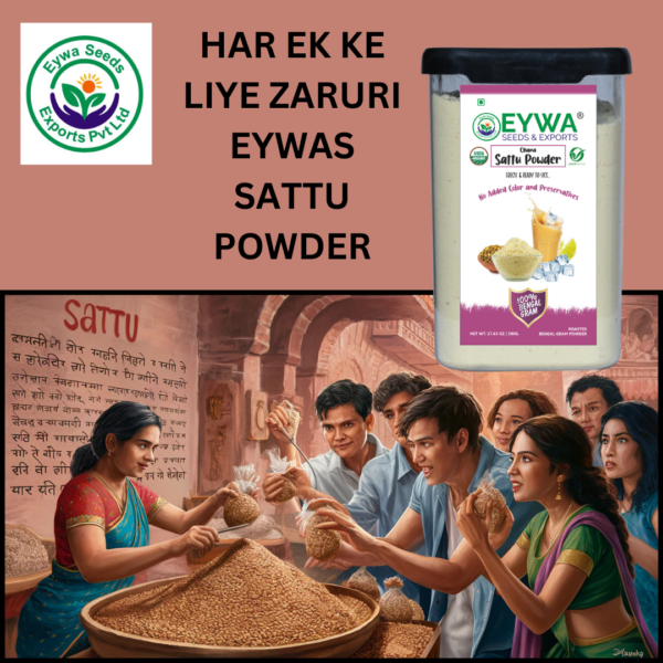 Organic Sattu Powder - Image 6