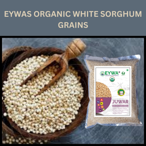 Organic White Sorghum Grains - Image 6