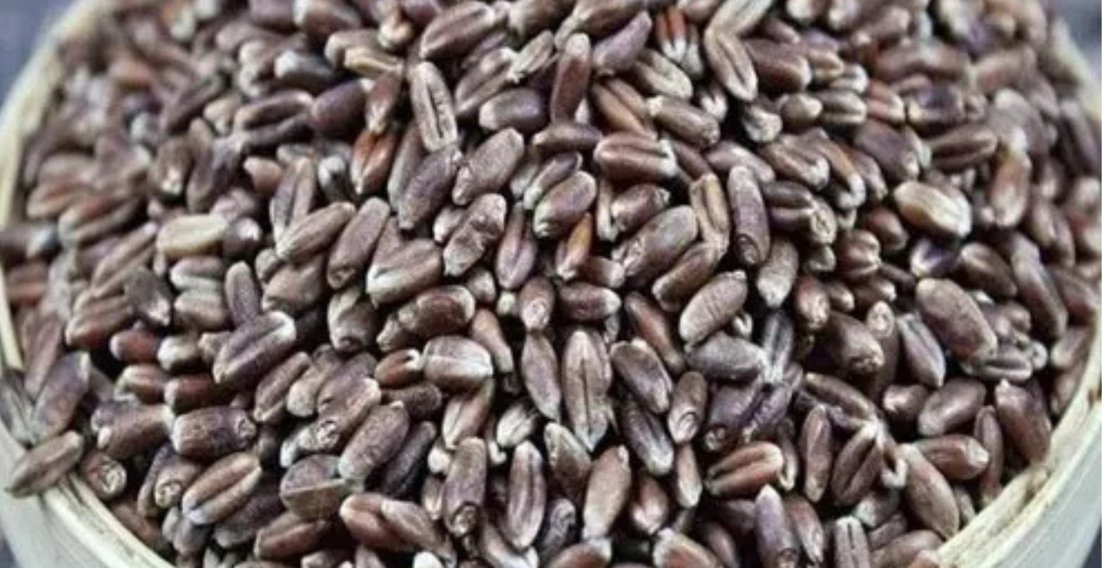 Black Wheat Grains