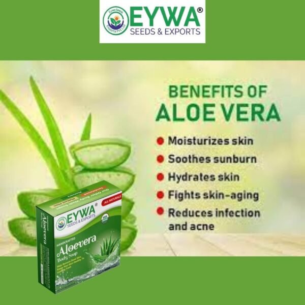 Handcrafted Aloe vera Soap (100grm ) - Image 4