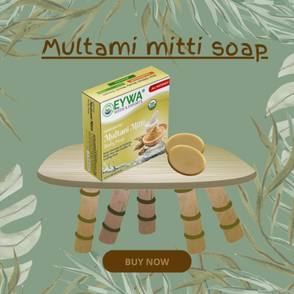 Handcrafted Multani Miti soap (100grm) - Image 2