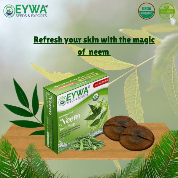 Handcrafted Neem soap (100grm) - Image 2